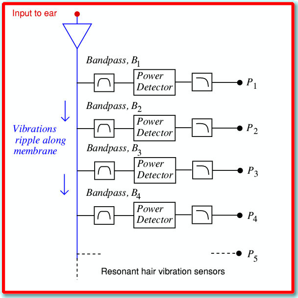 earmodel.gif - 23Kb